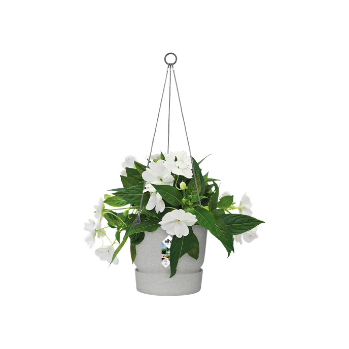 greenville hanging basket 24cm living concrete
